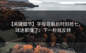 【关键细节】字母哥最后时刻抢七，球迷都懂了：下一秒就反转