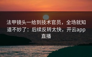 法甲镜头一给到技术官员，全场就知道不妙了：后续反转太快，开云app直播