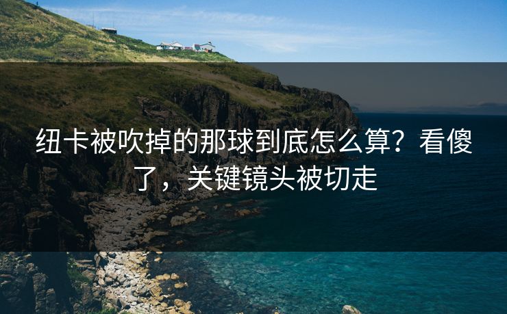 纽卡被吹掉的那球到底怎么算？看傻了，关键镜头被切走