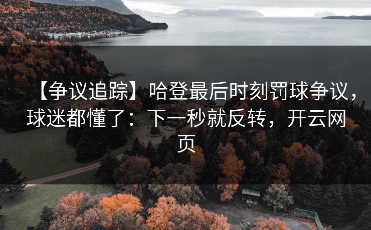 【争议追踪】哈登最后时刻罚球争议，球迷都懂了：下一秒就反转，开云网页