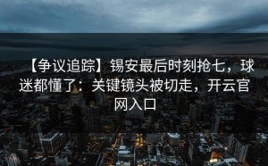 【争议追踪】锡安最后时刻抢七，球迷都懂了：关键镜头被切走，开云官网入口