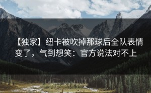 【独家】纽卡被吹掉那球后全队表情变了，气到想笑：官方说法对不上