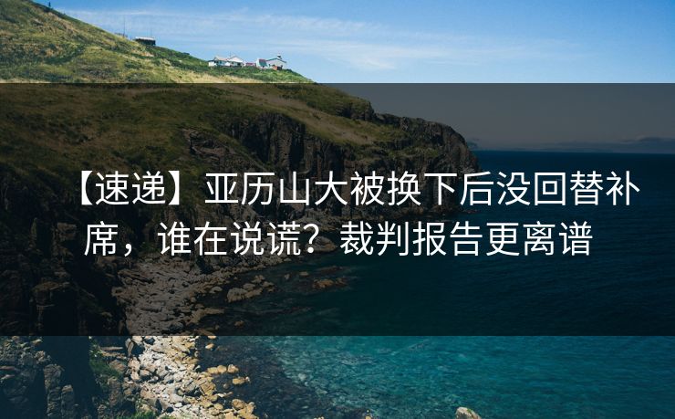 【速递】亚历山大被换下后没回替补席，谁在说谎？裁判报告更离谱