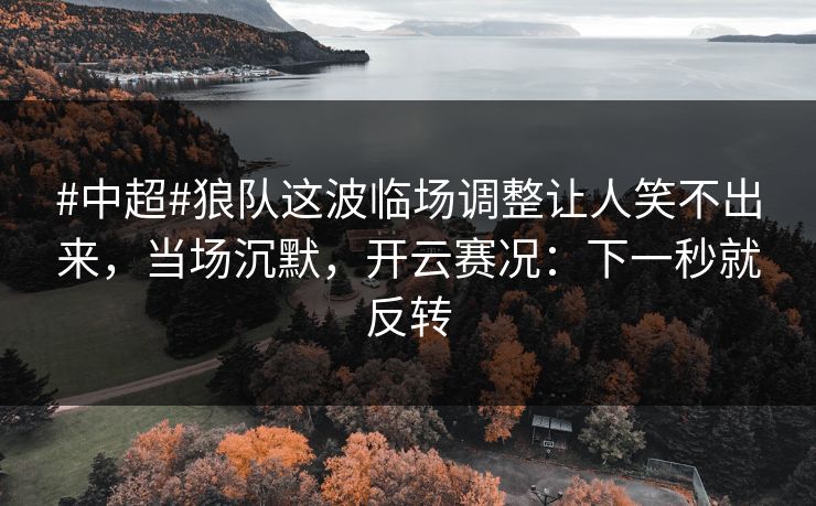 #中超#狼队这波临场调整让人笑不出来，当场沉默，开云赛况：下一秒就反转